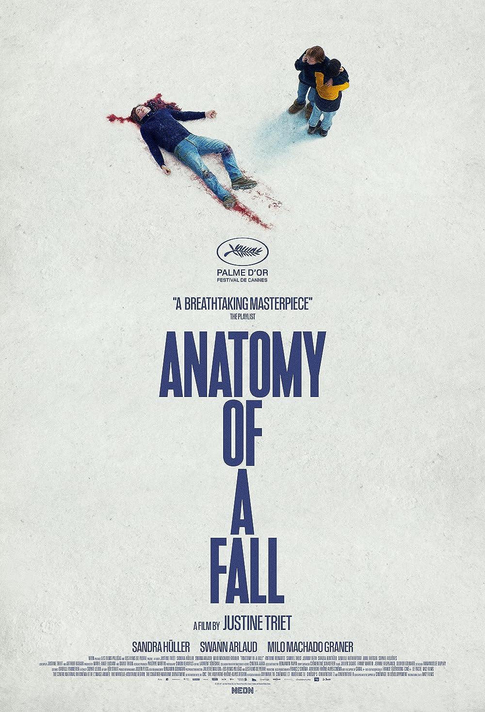 anatomy of a fall movie poster